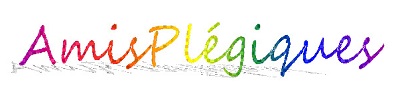 Une rencontre inspirante avec l’association AmisPlégiques